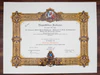 What are the overall dimensions of the fake diploma?